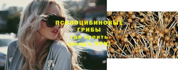 гидра Белоозёрский