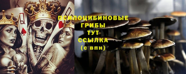 эйфоретик Балахна