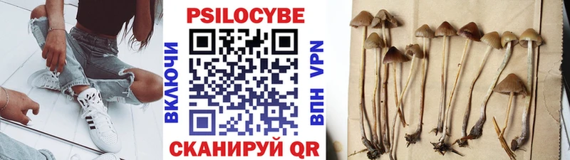 Галлюциногенные грибы Cubensis  Купить  Мензелинск 